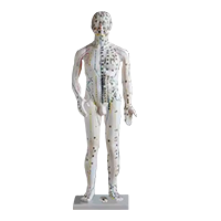 Серия акупунктуры