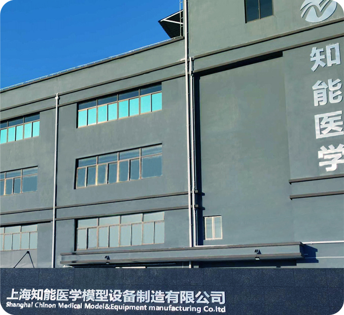 ADA MED SUPPLY LIMITED