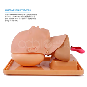 Передовая модель головы для интубации трахеи у младенцев