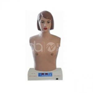 Модель аускультации и пальпации