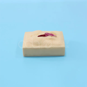 модель для тренировки швов на вульве