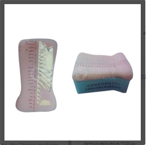 Платформа для тренировки акупунктуры спины человека с эмуляцией