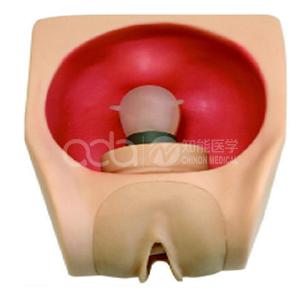 Старшая модель семейного планирования и образования