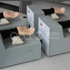 Модель проявления импульса ТЦМ