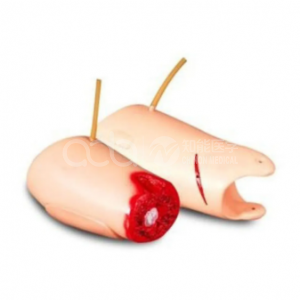 Control Bleeding Thigh Model