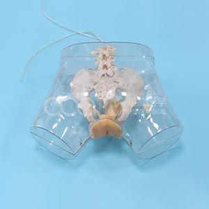 Прозрачная модель катетеризации мочевого протока у женщин