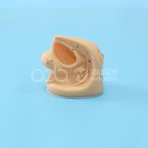 Внутри и снаружи модель гениталий женского пола и уретральной катетизации