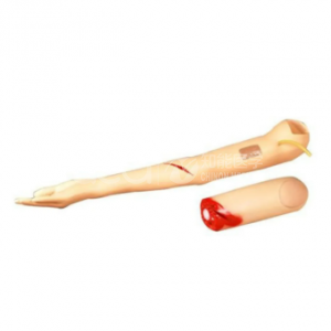 Controlled Bleeding Arm Model