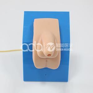 Старый мужской модельный катетер с одеянием