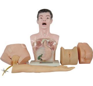 Новая базовая модель сестринского дела для практической работы