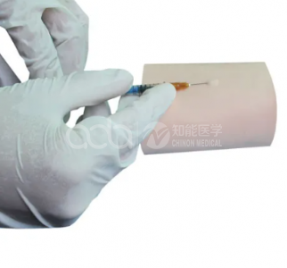 Интродермальная инъекционная модель