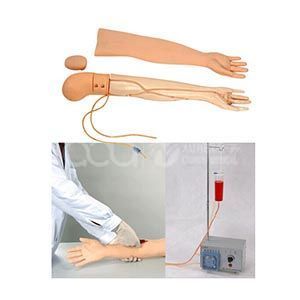 Полнофункциональная модель венозного забора крови с инъекцией для рук. Характеристики