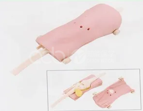 Модель артроскопии коленного сустава