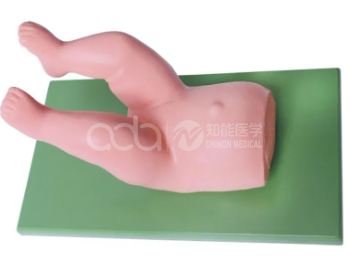 Модель операции по уменьшению тазобедренного сустава у младенцев