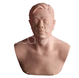 Модель для тренировки пункции верхнечелюстной пазухи