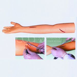 Модель для обучения швов в хирургической руке старшего специалиста