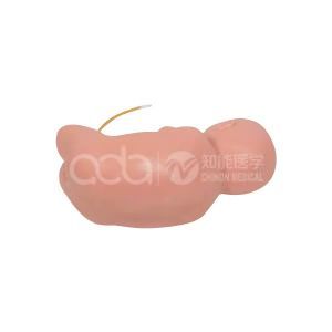 Модель пункции поясничного отдела у младенцев