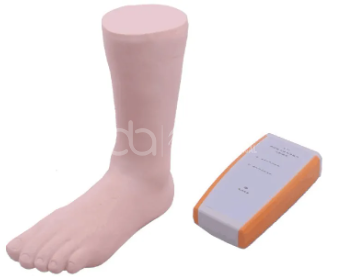 Модель пунктура голеностопного сустава