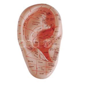 Массажная модель уха 12 см