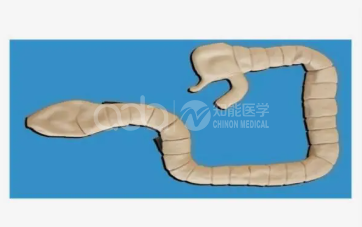 Симулятор осмотра сигмоскопа