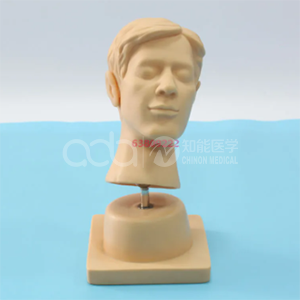 Расширенная модель обучения диагностики ушей