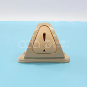 Модель для тренировки навыков выполнения эпизиотомии и швов