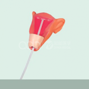 Модель обучения внутриматочной контрацептивной установке