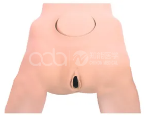 Модель измерения таза