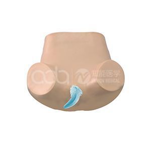 Симулятор обучения комплексному гинекологическому обследованию