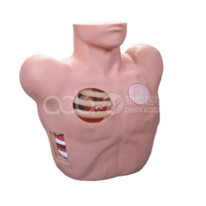 Модель дренирования после перкутации грудной клетки