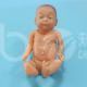 Модель новорожденного на полном сроке (GIRL)