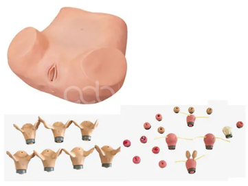 Модель обучения комплексному гинекологическому обследованию