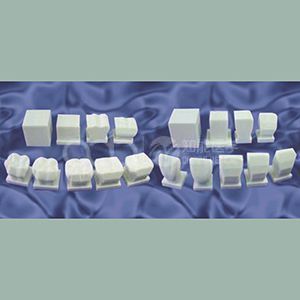 Модель зубов, вырезанных в камне