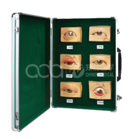 Обычная модель заболеваний глаз (20 штук/упаковка)