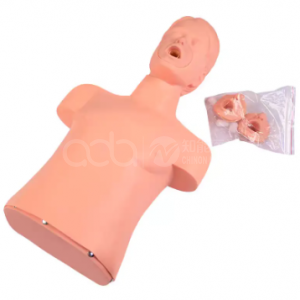 Модель симуляции ингаляционного дыхания и сердечно-лёгочной реанимации для взрослых