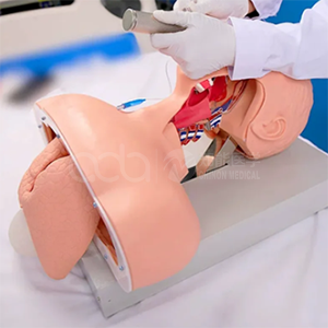 Модель электронной интубации дыхательных путей (с сигнализатором)