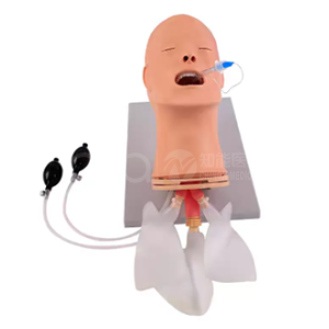 BIX-J52 — модель для полного управления дыхательными путями