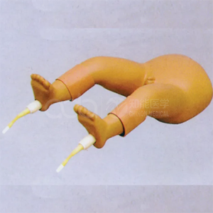 Модель пунктирования костного мозга для младенцев