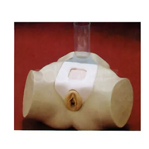 Симулятор пункции мочевого пузыря у женщин