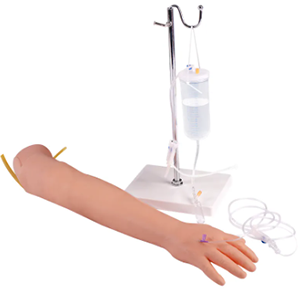 Модель венозной прокола рук и инъекции в дельтовидные мышцы