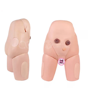 Симулятор катетеризации мочевого каналов у женщин