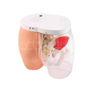 Модель инъекции в мышцу