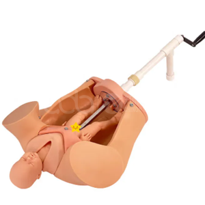 Модель тренировки навыков родов