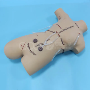 Модель хирургического швов и повязок