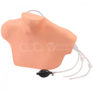 Модель пунктирования центральной вены и канулы