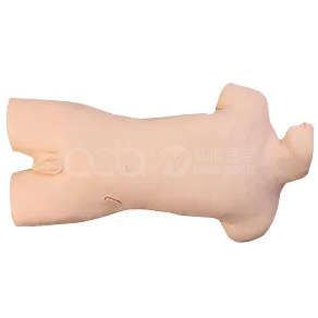 Полнофункциональный манекен для прокола и инъекций центральной вены и трапеции