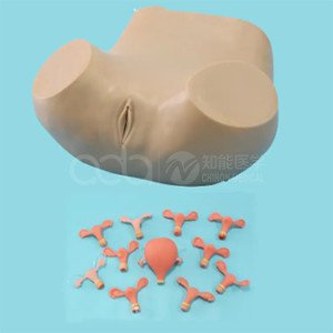 Передовая модель гинекологического обследования