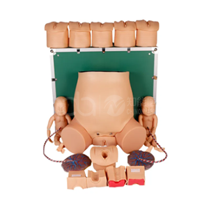 Передовая комплексная модель обучения навыкам родовода