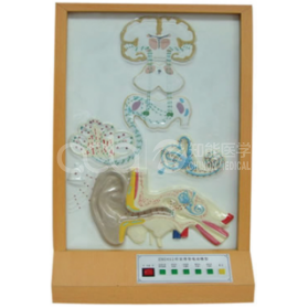 Аудиальная проводящая электрическая модель