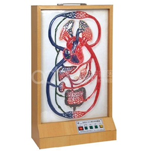 Большой и малый циклический электрический модел